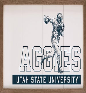 Vintage Football Utah State University